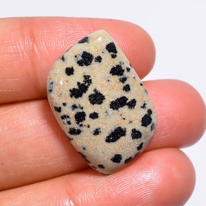 Elegante hoogwaardige kwaliteit 100% natuurlijke Dalmatische jaspis Cabochon in mooie vorm losse edelsteen voor het maken van sieraden 16,5 kt. 22 x 16 x 5 mm GA-1912