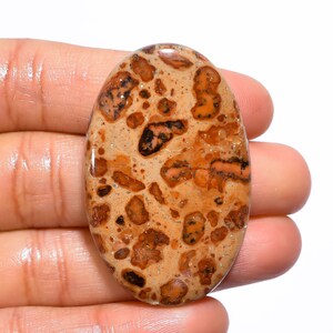 Ongelooflijke hoogwaardige kwaliteit 100% natuurlijke Leopardiet Jaspis ovale cabochon losse edelsteen voor het maken van sieraden 64,5 kt. 45 x 29 x 6 mm GA-1275
