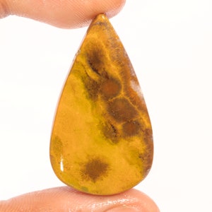 Vlekkeloze topkwaliteit 100% natuurlijke oceaanjaspis peervorm cabochon losse edelsteen voor het maken van sieraden 40,00 ct 40 x 23 x 6 mm GA-3041