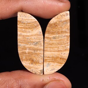 Coppia di esclusive pietre preziose sciolte cabochon di aragonite naturale di alta qualità, per realizzare gioielli, 35,35 ct, 36 x 14 x 4 mm, GA-16277