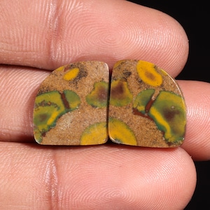 Impresionante piedra preciosa suelta de jaspe de fruta natural de primera calidad con forma de fantasía, cabujón para hacer joyas, 18,00 ct, 16 x 14 x 3 mm, GA-16222