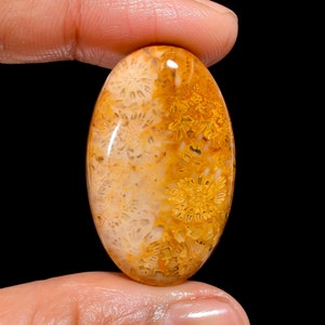 Beautiful Top Grade Quality 100% Natural Fossil Coral Oval Cabochon Loose Gemstone For Making Jewelry 32 Ct. 34X21X6 mm GA-1640