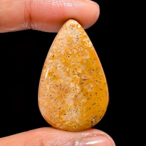 Dazzling Top Grade Quality 100% Natural Fossil Coral Pear Cabochon Loose Gemstone For Making Jewelry 38 Ct. 37X23X6 mm GA-1642