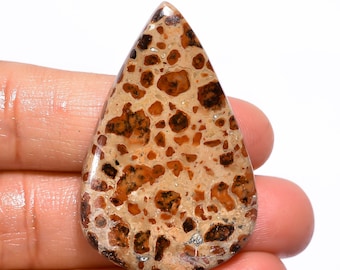 Incredible Top Grade Quality 100% Natural Leopardite Jasper Pear Cabochon Loose Gemstone For Making Jewelry 50.5 Ct. 41X27X6 mm GA-1250