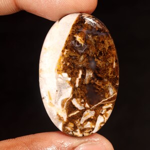 Fantastische topkwaliteit 100% natuurlijke wilde paard jaspis ovale vorm cabochon losse edelsteen voor het maken van sieraden 51.70 CT 41X26X6 MM GA-3209