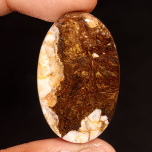 Uitstekende topkwaliteit 100% natuurlijk wild paard jaspis ovale vorm cabochon losse edelsteen voor het maken van sieraden 40,00 ct 39 x 24 x 5 mm GA-3199
