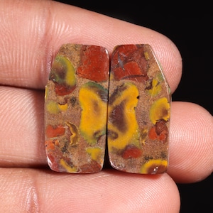 Clássico Top Quality Natural Fruit Jasper Fancy Shape Cabochão Pedra Preciosa Solta Para Fazer Jóias 21,00 Ct 23X12X3 MM GA-16224