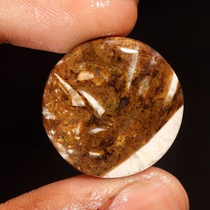 Unieke topkwaliteit 100% natuurlijke wilde paard jaspis ronde vorm cabochon losse edelsteen voor het maken van sieraden 25.70 CT 26X26X5 MM GA-3214