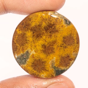 Elegante Top Quality 100% Natural Ocean Jasper Forma Redonda Cabochão Pedra Preciosa Solta Para Fazer Jóias 45,65 Ct 30x30x6 MM GA-3077