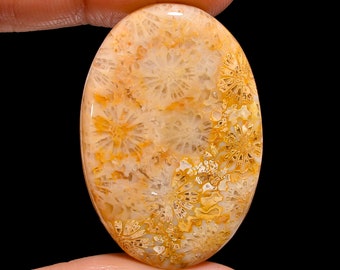 Amazing Top Grade Quality 100% Natural Fossil Coral Oval Shape Cabochon Loose Gemstone For Making Jewelry 46.5 Ct. 38X26X5 mm GA-2754