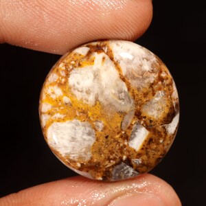 Prachtige topkwaliteit 100% natuurlijk wild paard jaspis ronde vorm cabochon losse edelsteen voor het maken van sieraden 27,00 ct 24 x 24 x 6 mm GA-3210