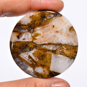 Mind Blowing Top Grade Quality 100% Natural Wild Hourse Jasper Round Cabochon Loose Gemstone For Making Jewelry 75 Ct. 45X45X5 mm GA-599