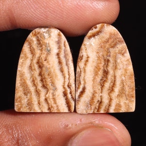 Excelente par de pedras preciosas soltas de cabochão em formato D de aragonita natural de alta qualidade, para fazer joias 29,30 Ct 15X22X5 MM GA-16265