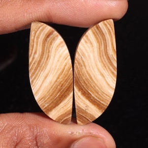 Coppia di pietre preziose sciolte cabochon di aragonite naturale di qualità superiore di forma fantasia, per realizzare gioielli, 48,20 ct, 37 x 15 x 5 mm, GA-16267