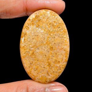 Classic Top Grade Quality 100% Natural Fossil Coral Oval Cabochon Loose Gemstone For Making Jewelry 53 Ct. 43X29X5 mm GA-1641