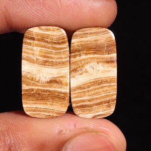 Favoloso paio di pietre preziose sciolte cabochon aragonite naturale di alta qualità a forma di raggi, per realizzare gioielli, 21,40 ct, 22 x 12 x 4 mm, GA-16258
