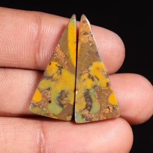 Maravillosa piedra preciosa suelta de forma triangular de jaspe frutal natural de primera calidad para hacer joyas, 24,55 ct, 31 x 13 x 4 mm, GA-16192