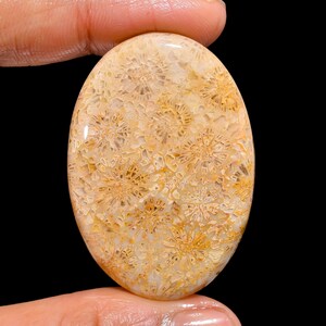 Excellent Top Grade Quality 100% Natural Fossil Coral Oval Cabochon Loose Gemstone For Making Jewelry 58 Ct. 44X30X6 mm GA-1643