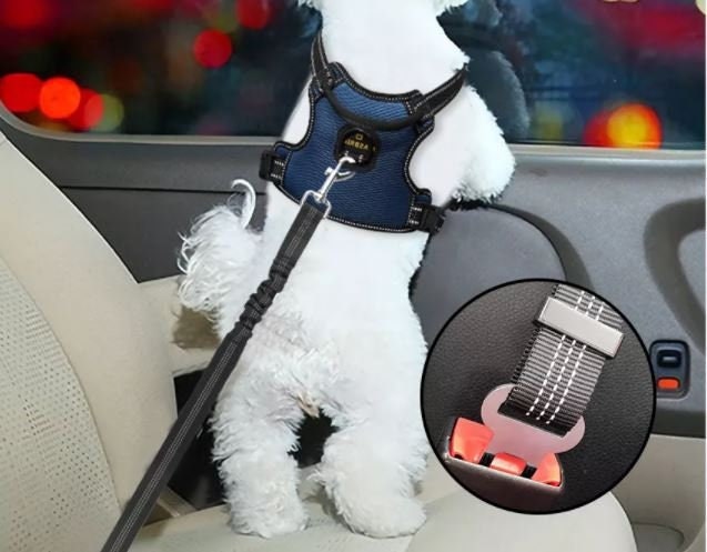 SlowTon Double Ceinture Chien Voiture - Laisse Double pour 2