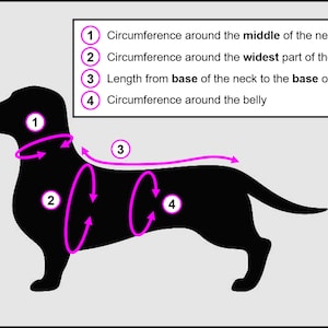 May include: Diagram showing how to measure a dog for a custom-made garment. The diagram shows a black silhouette of a dachshund with four numbered circles indicating where to measure: 1) neck, 2) chest, 3) length from neck to tail, and 4) belly.