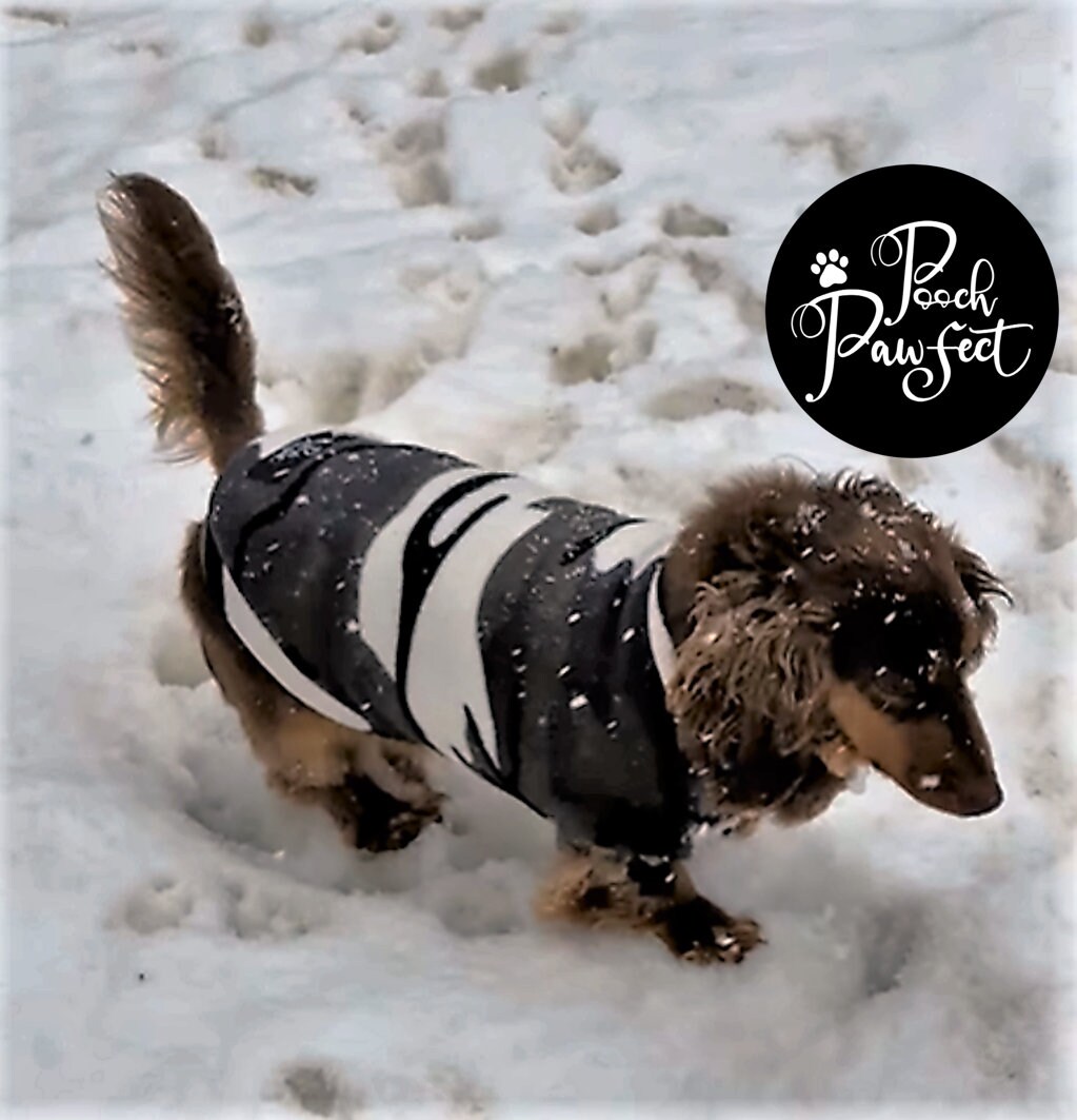 Dachshund sweater for human 2025
