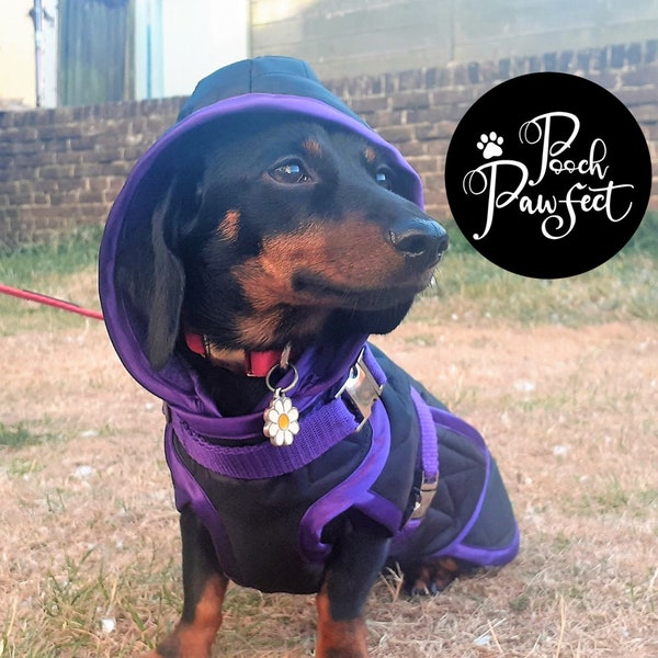 Luxury Custom-Made Dachshund Raincoat Jacket by Pooch Pawfect