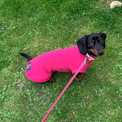Dachshund / Waterproof Dog Raincoat Membrane Material Etsy
