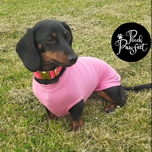 Bamboo Anti-Allergy and Cooling Dachshund T-Shirt by Pooch Pawfect