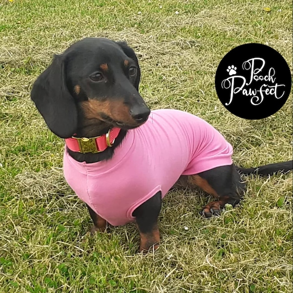 Maglietta antiallergica e rinfrescante in bambù per bassotti di Pooch Pawfect