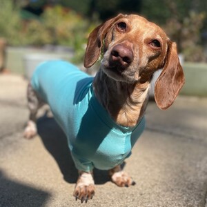 Bamboo Anti-Allergy and Cooling Dachshund T-Shirt by Pooch Pawfect image 4