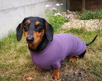 Bamboo Anti-allergy and Cooling Dachshund T-shirt by Pooch Pawfect