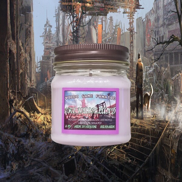 Fallout Video Game Etsy
