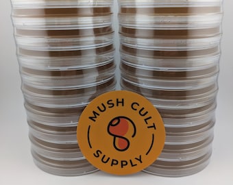 x20 Malt Extract Agar Plates