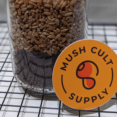 Allinone Mushroom Grow Jar Quart 1lb Etsy