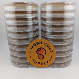 x20 Malt Extract Agar Plates