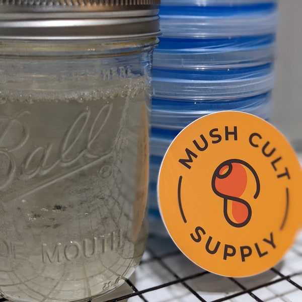 Mushroom Culture Kit - Sterile Liquid Culture pint, x10 agar plates