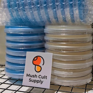 5x Malt Extract Agar Plates - sterile, pre-poured