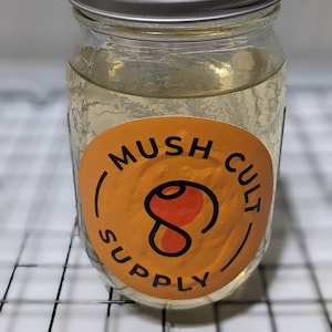 4x Sterile Liquid Culture - Pint jars w/myco lid