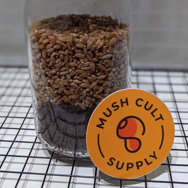 All-In-One Mushroom Grow Jar - Quart 1lb