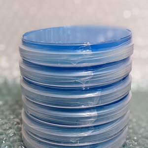 x10 Potato Dextrose Agar Plates - Sterile, Pre poured