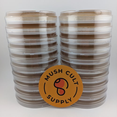 x20 Malt Extract Agar Plates
