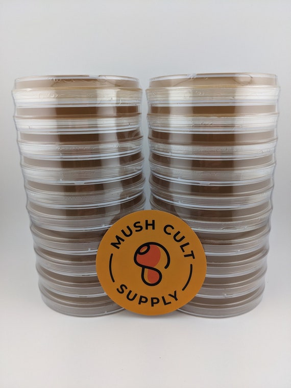 thumbnail interactive-video image 1 of 10x Sterile MEA Mushroom Agar Plates + Extra Parafilm - Ready To Use! 1 of 6