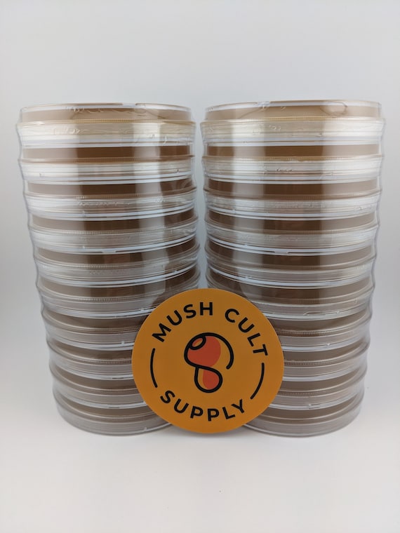 10x Sterile MEA Mushroom Agar Plates + Extra Parafilm - Ready To Use!