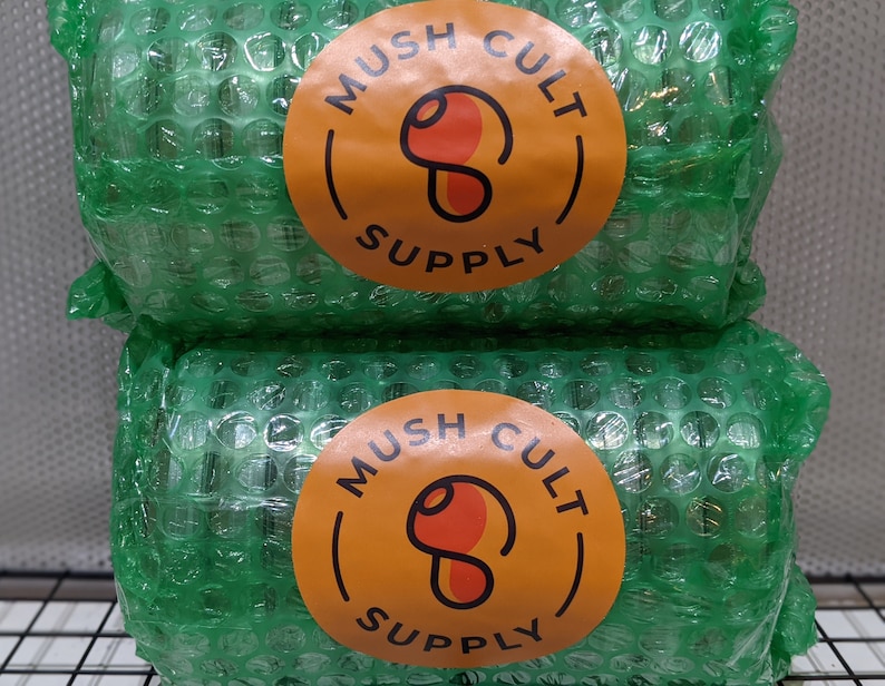 X20 Potato Dextrose Agar Plates Etsy