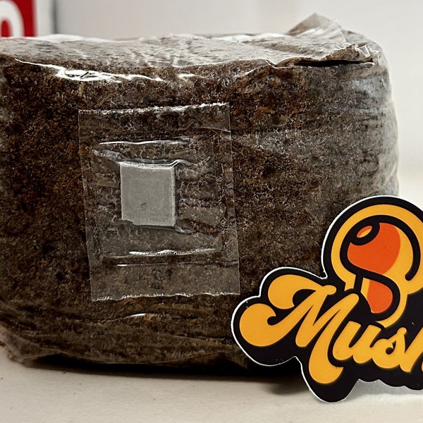 Master's Mix Mushroom Grow Bag - 3lbs