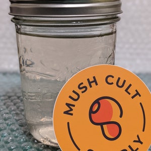 2x Sterile Mushroom Liquid Culture - Pint jars w/myco lid