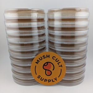 30x Malt Extract Agar Plates, sterile pre poured