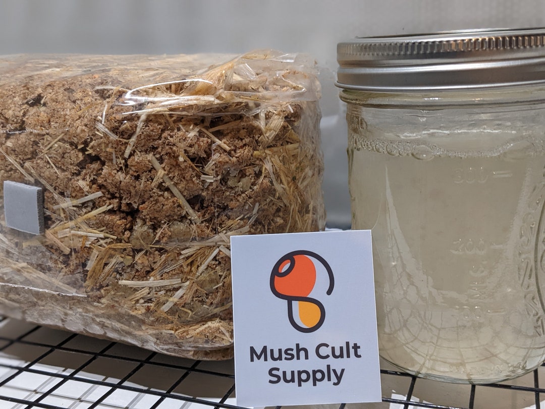 Lion's Mane Grow Kit 10ml Culture, 3lbs Master's Mix W/straw Etsy