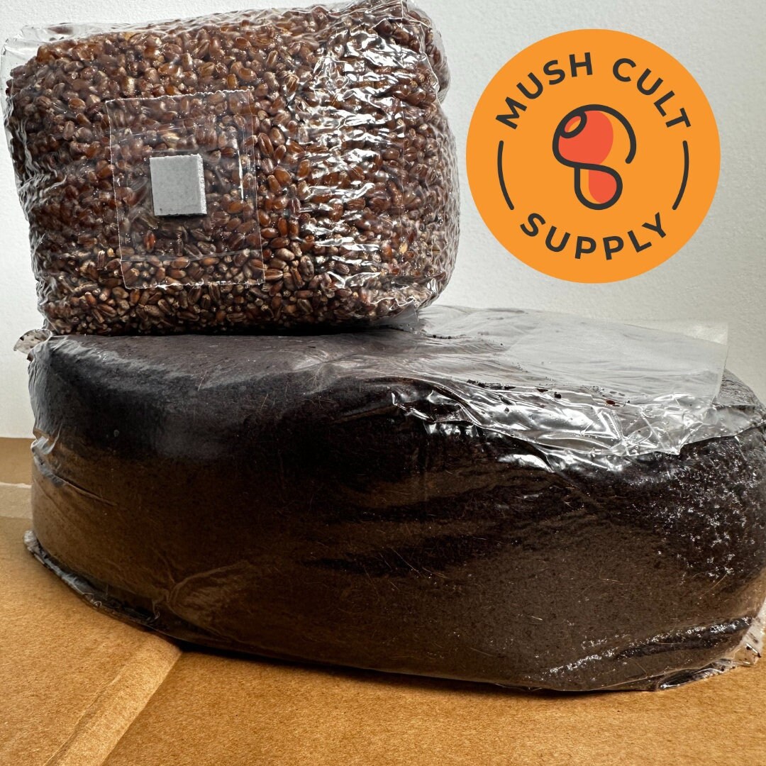 Monotub in A Bag Mushroom Grow Kit 5lbs Substrate & 3lbs Grain Monotub