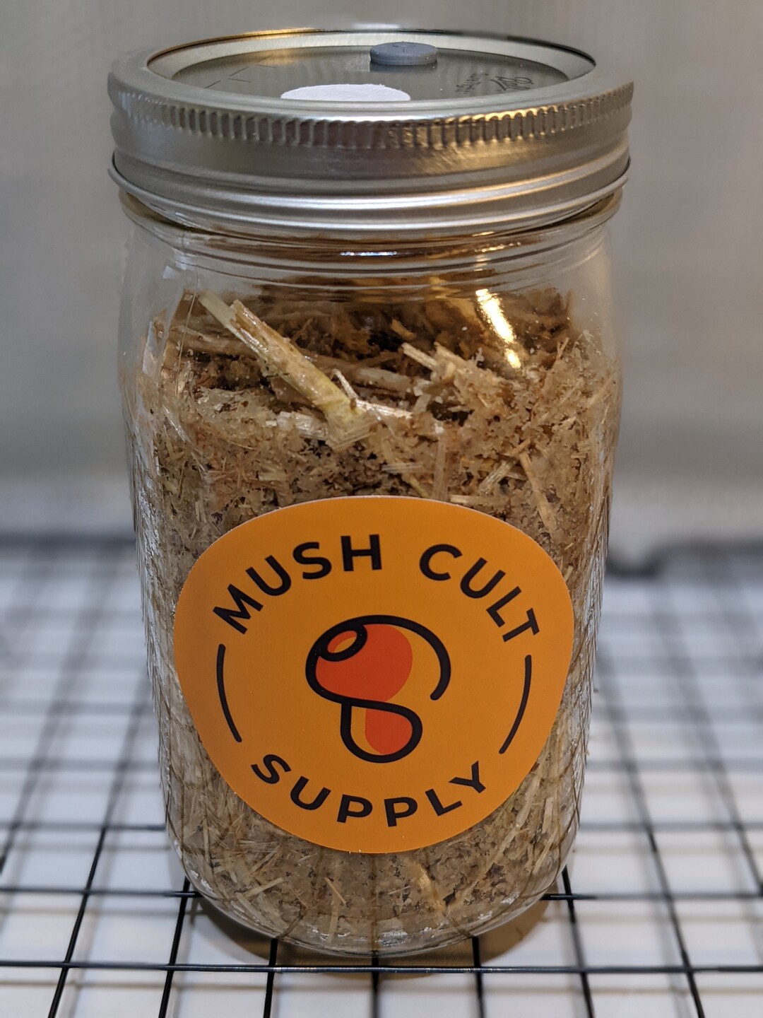 Mushroom Grow Jar Master's Mix W/straw Etsy